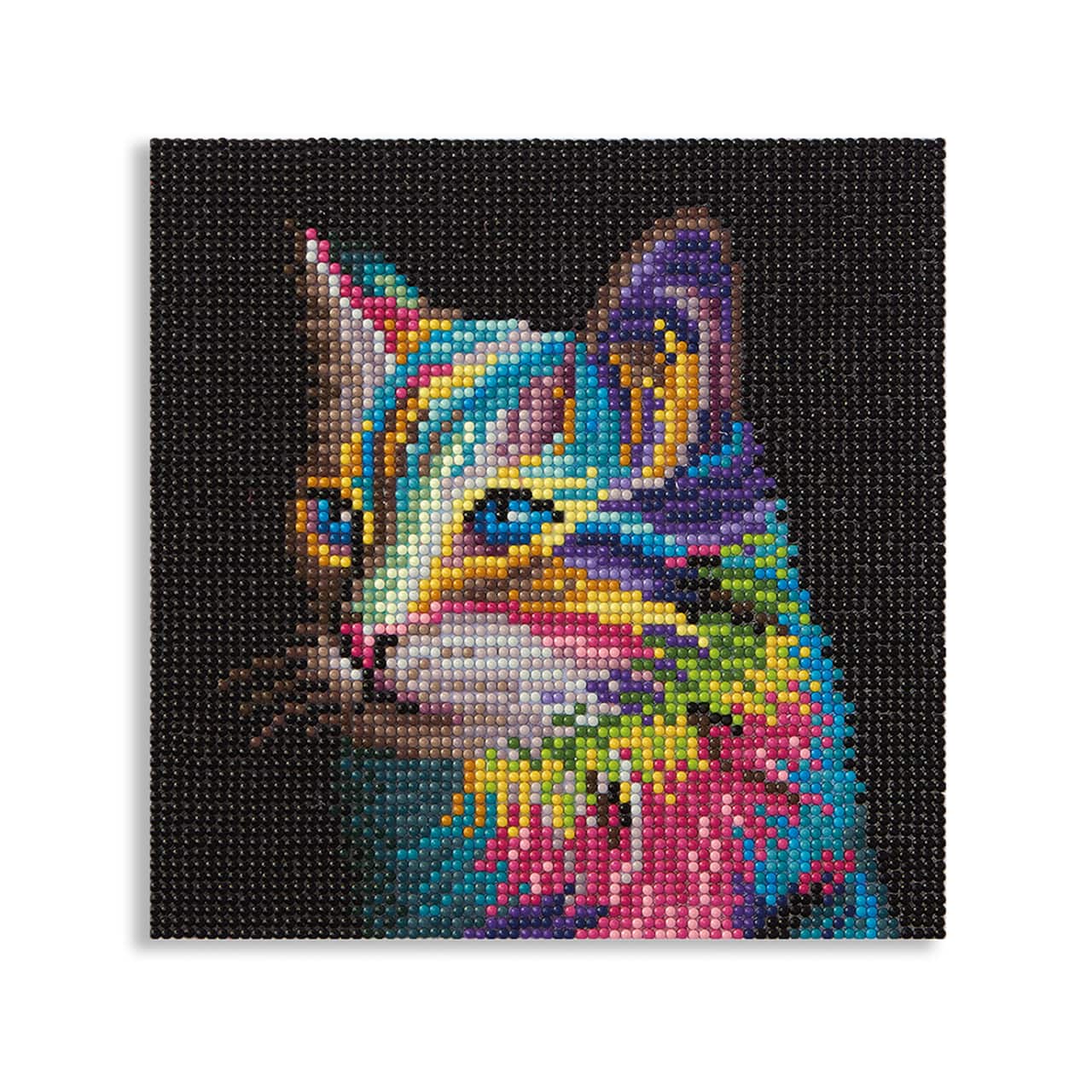 Rainbow Cat Painting Diamond Art by Make Market®